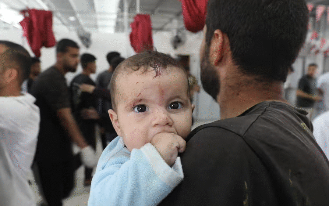 UN warns 14,000 babies could die in Gaza in next 48 hours without aid